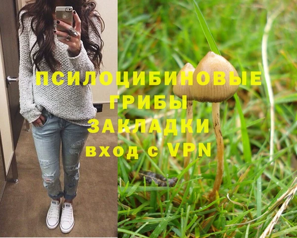 мяу мяу мука Бабаево