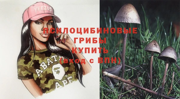 ешки Ахтубинск
