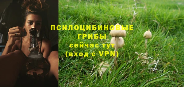 мяу мяу кристалл Медногорск