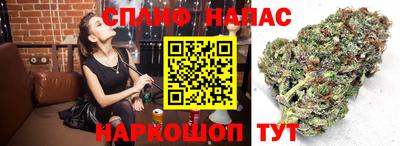 mdpv Беслан