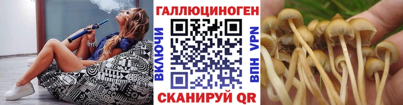 цена наркотик  Вязьма  Псилоцибиновые грибы Magic Shrooms 
