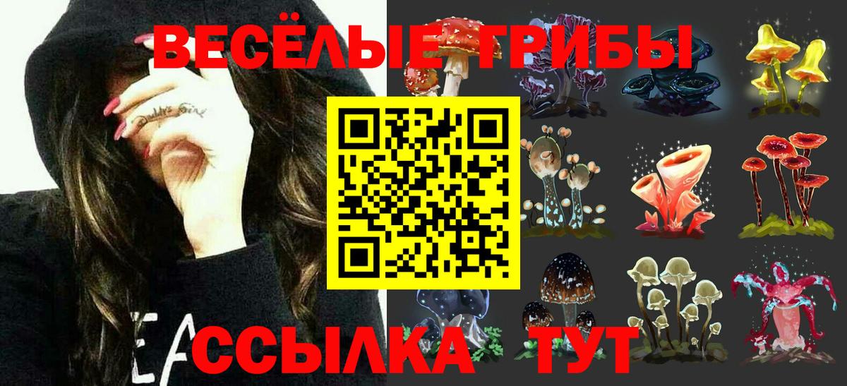 Галлюциногенные грибы Psilocybe Вязьма