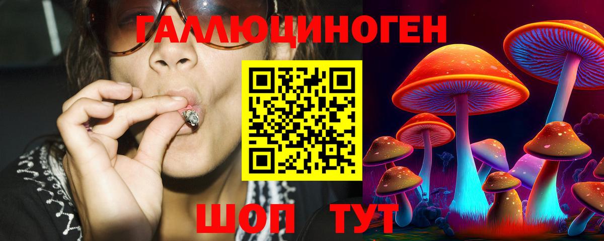 Вязьма  Псилоцибиновые грибы GOLDEN TEACHER  Вход с VPN 