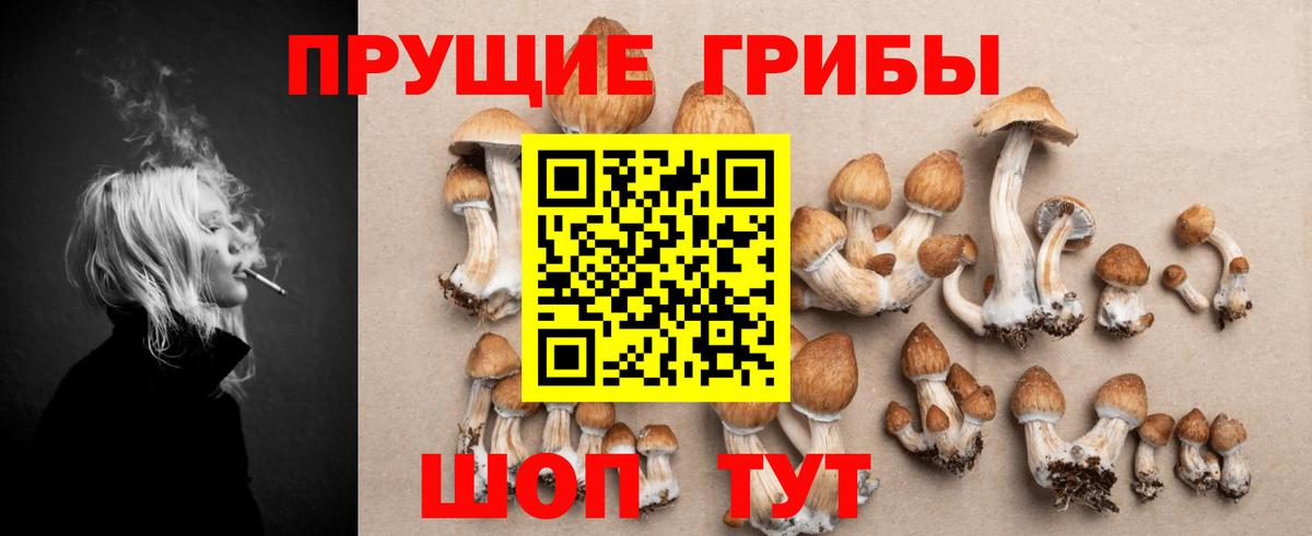 Псилоцибиновые грибы Cubensis Вязьма