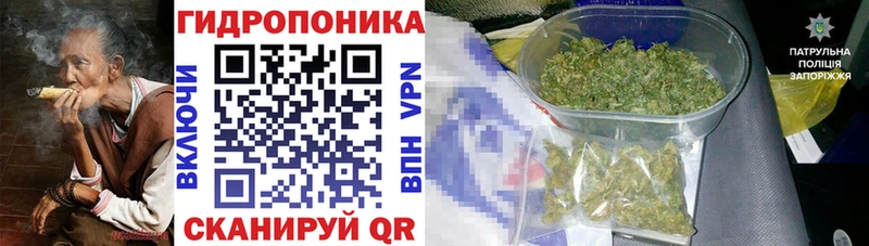 где купить наркоту  Вязьма  МАРИХУАНА план 